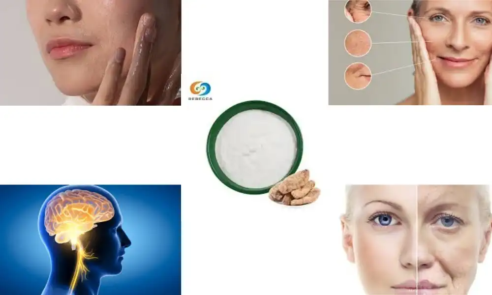 Gastrodin Powder: A Natural Ally in Anti-Aging